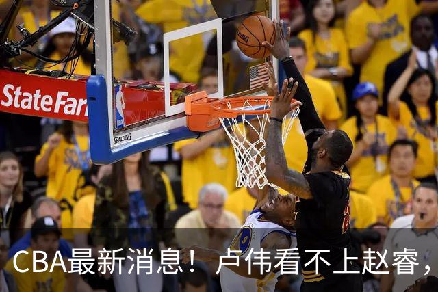 CBA最新消息！卢伟看不上赵睿，张镇麟转会费超5000万，林葳无缘国家队原因曝光